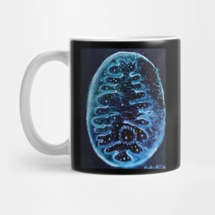 Mitochondrial structure Mug